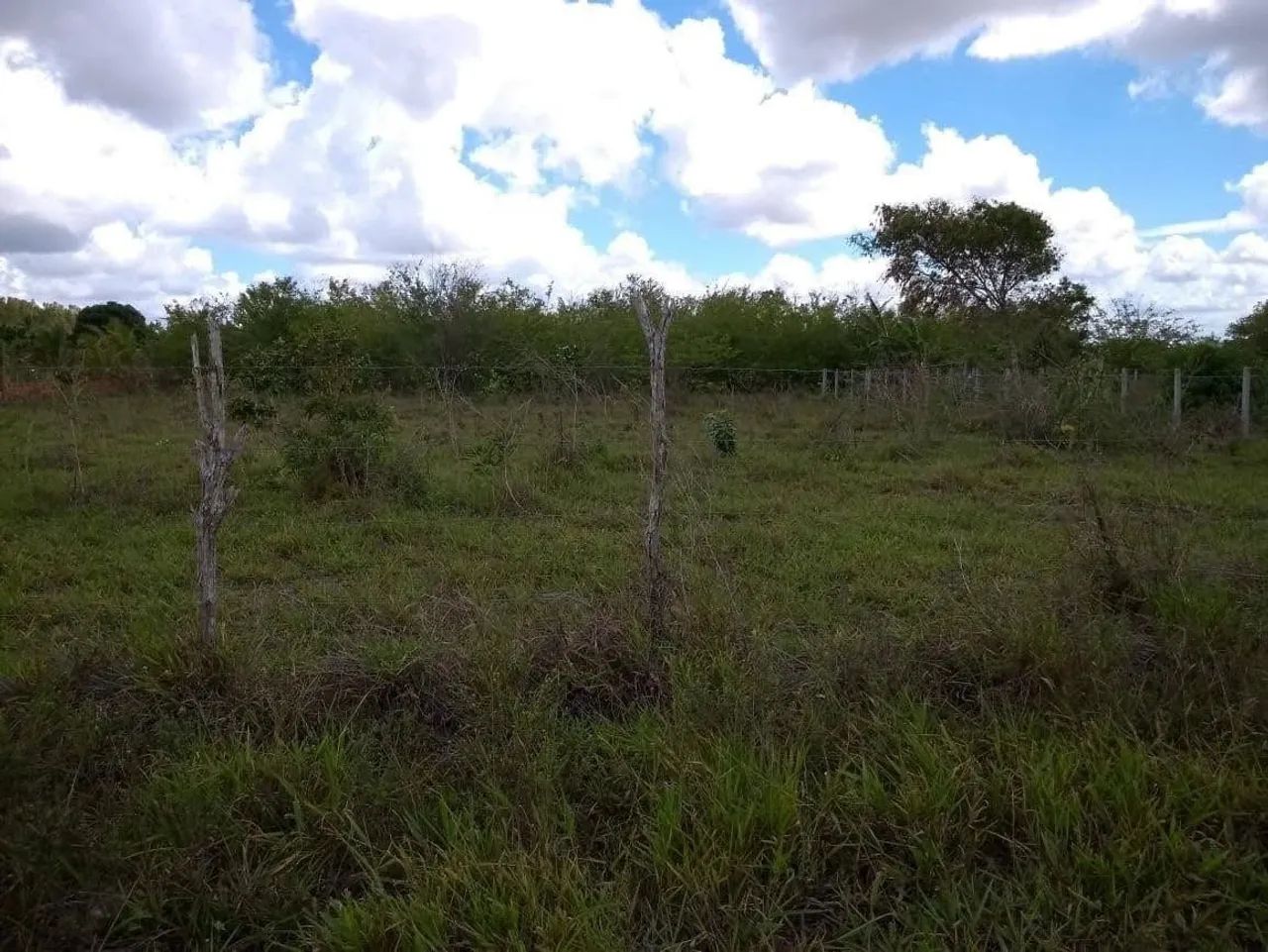 Vendo Terreno em Itaporanga  - Foto 3