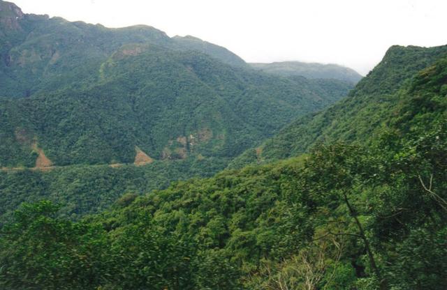 Fazenda de Reserva de Mata Atlântica - Paraná - Foto 2