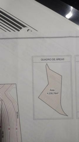 Terreno 4.238 m², B. Mario Giurizato, Margem BR 259 - Foto 10
