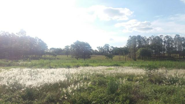 Chácara 3 Alqueires a 60 metros da cidade - Foto 8