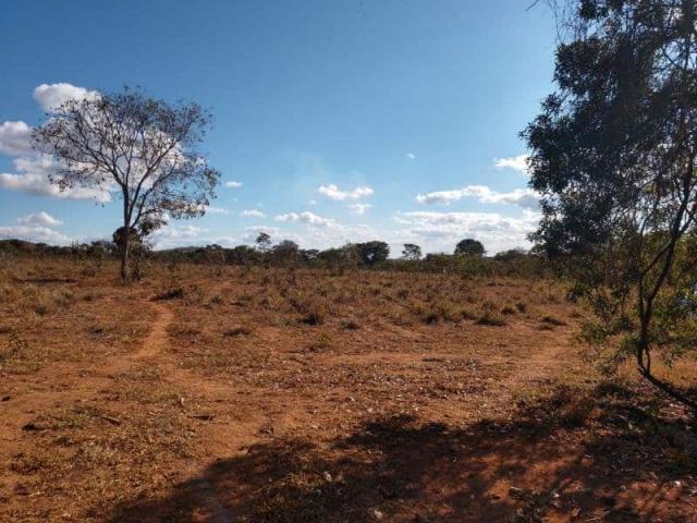 Fazenda - TAV60 - Foto 12