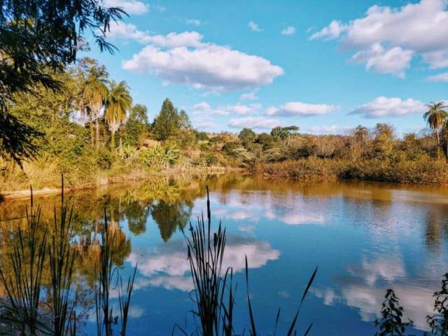 Fazenda - TAV60 - Foto 3