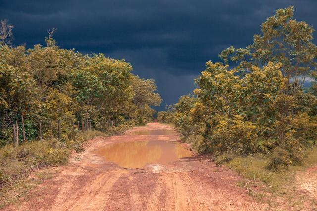 Fazenda para agricultura e pecuária - Foto 11