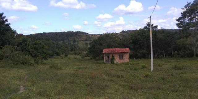 Sítio - Foto 12