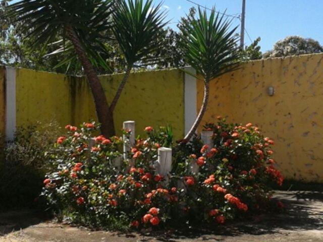 Chácara à venda com 3 dormitórios em Ermida, Divinopolis cod:18321 - Foto 2