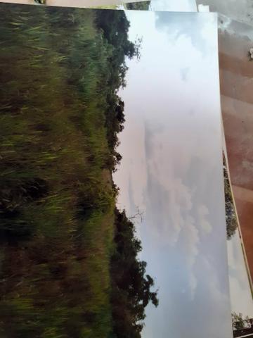 Vendo uma área de 116 há - Foto 6