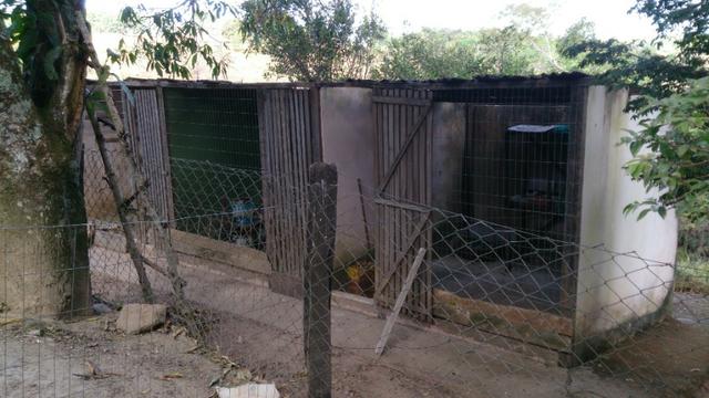 Chácara 18.000 m2 Formada Margens BR 414 Corumbá de Goiás - Foto 17