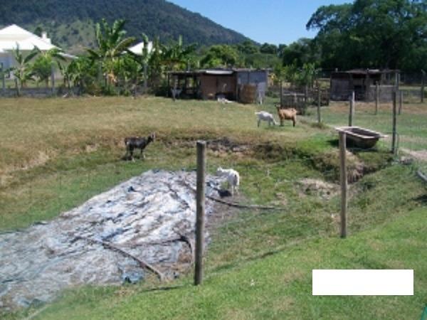 Código:36 Excelente sítio com 6000 m2 em condomínio fechado próximo ao Centro de Maricá co - Foto 3