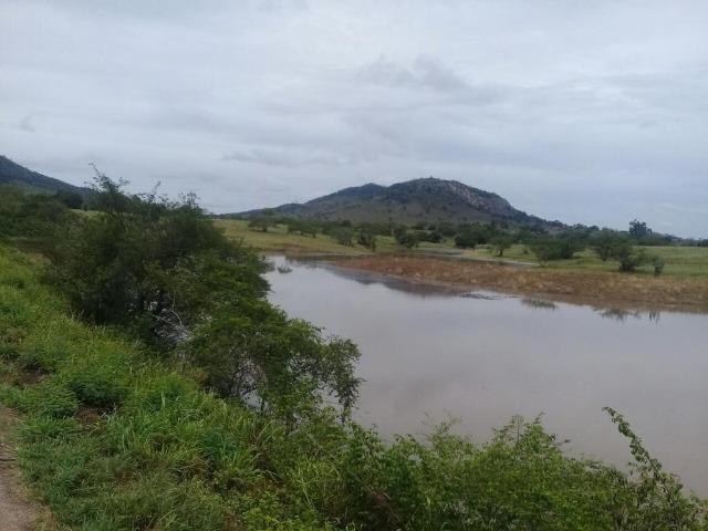 Belíssima Fazenda com casa boa e piscina na região rural de Riachão do Jacuípe Bahia - Foto 5