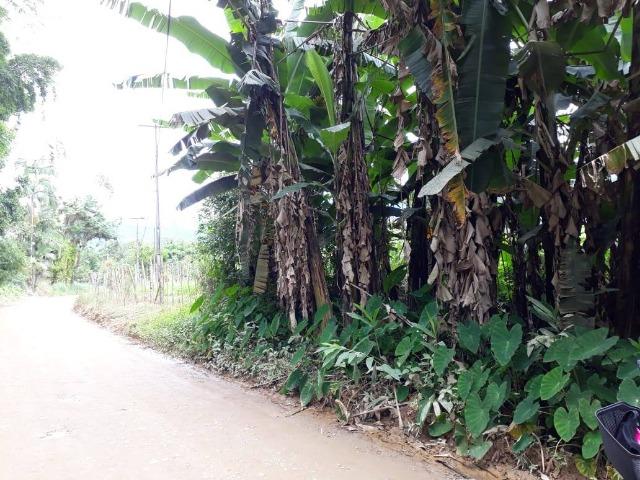 Chácara - América de Baixo - Morretes - Foto 6