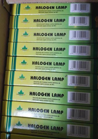 Lâmpada Palito 1000Wx220V Halogena Star Lux