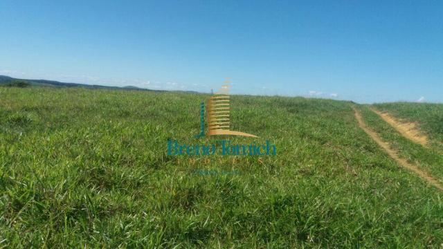 Fazenda à venda, 5227200 m² por r$ 10.800.000 - itabela - itabela/ba - Foto 19