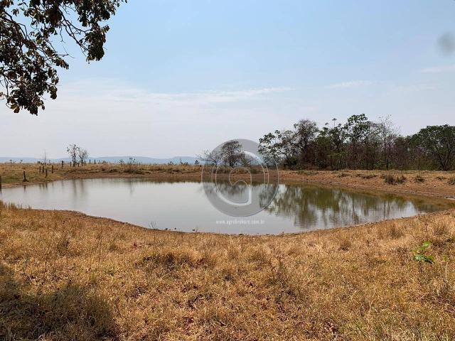 Fazenda 95 ha região chapada dos guimarães - Foto 10