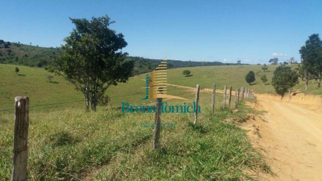 Fazenda à venda, 5227200 m² por r$ 10.800.000 - itabela - itabela/ba - Foto 7