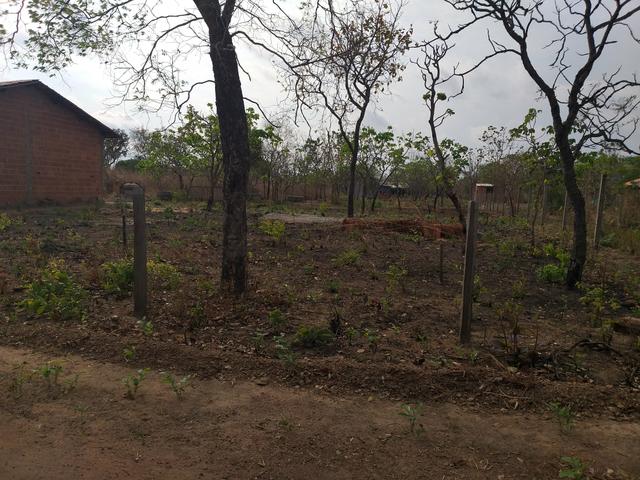 Chacara - Foto 3