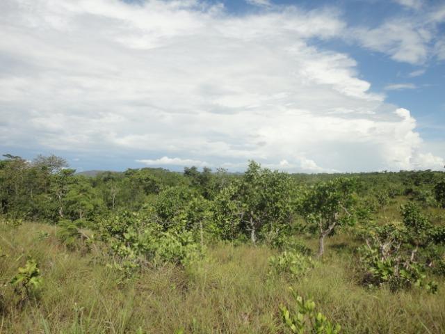 Sítio Chapada dos Guimarães 22 hectares - Foto 16