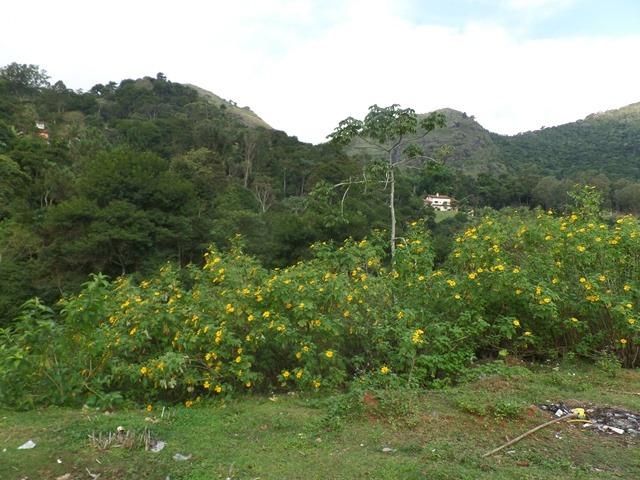 064 - Área de Terras nas Montanhas - Teresópolis - R.J - Foto 3