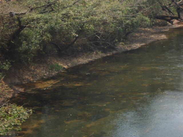 3000 hectares,Paranatinga/MT, 50% Para Plantio Soja, Paranatinga/MT. Oportunidade - Foto 4