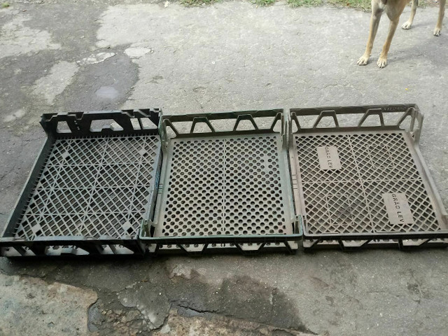 PREÇO CAIU Vendo esse kit ou separado DE 120,00 POR 100,00 PARA SAIR LOGO - Foto 6