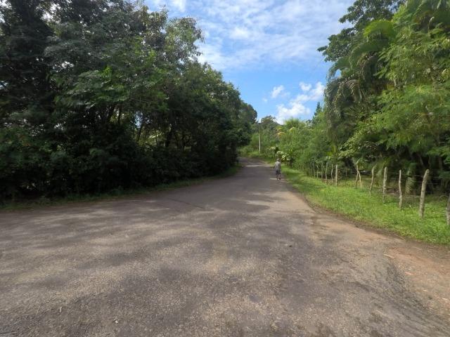 Sítio em Candeias com 9.174m2 - Foto 2