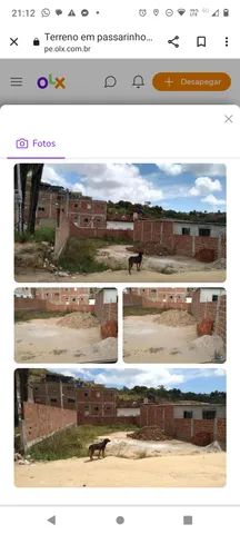 Terreno medindo 10m por 20 metros. Aproveite!!! - Foto 4