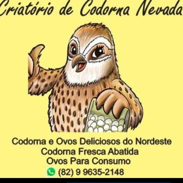 Ovos galado de codorna gigante 