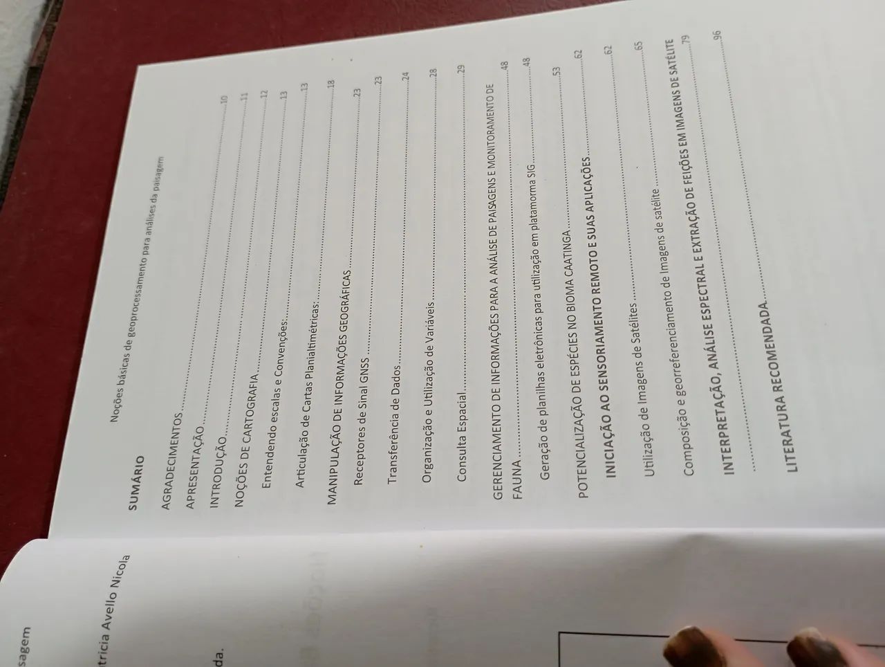 Livro Noções Básicas de Geoprocessamento para Análises da Paisagem - Foto 2