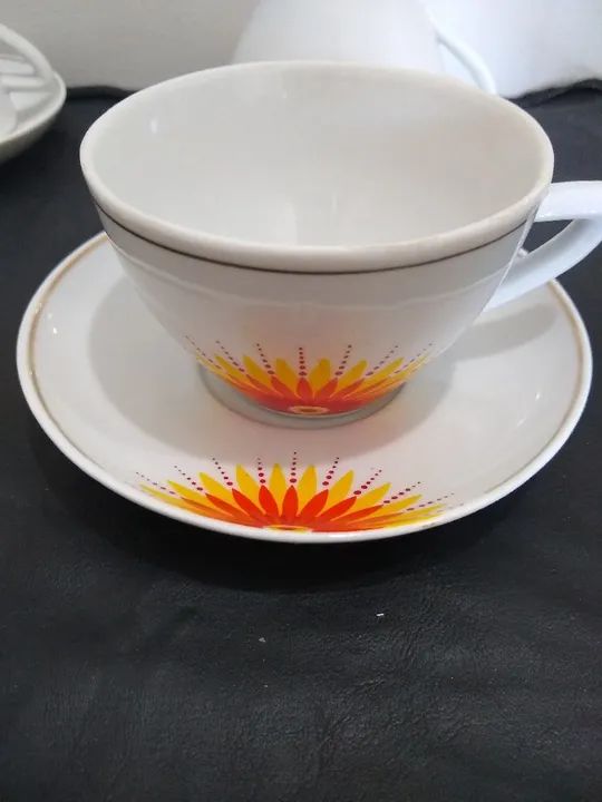 Pozzani porcelana 