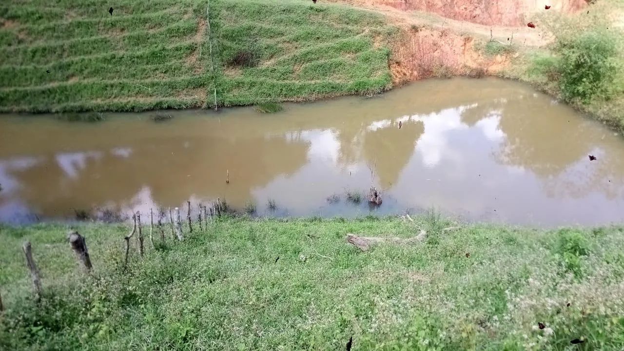 Fazenda em São José da Lage/AL, acesso a rodovia BR 104 até o imóvel rural é 6 Km. - Foto 4