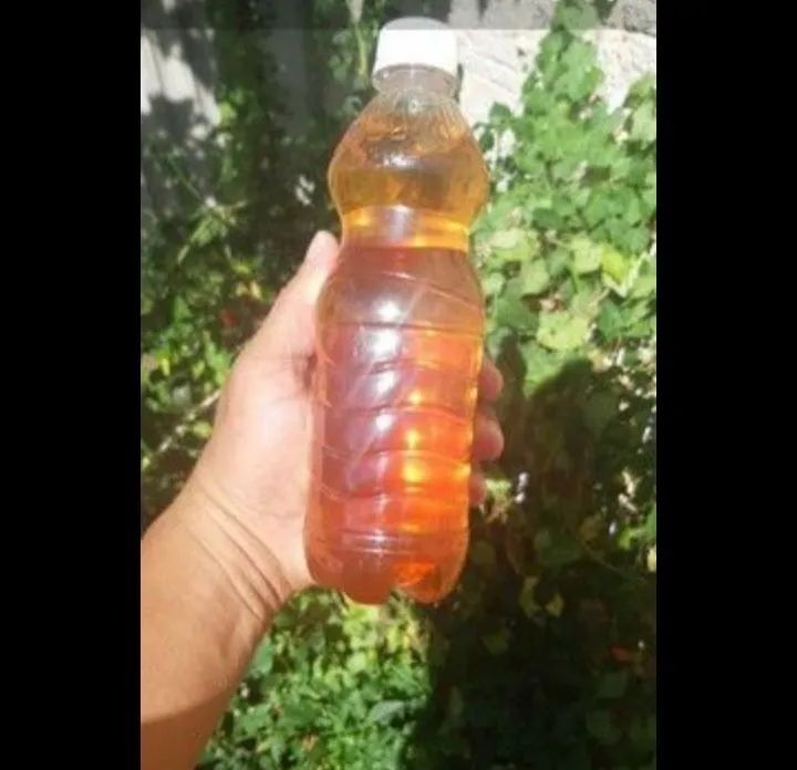 Mel de Abelha Puro R$ 30,00 - Foto 3