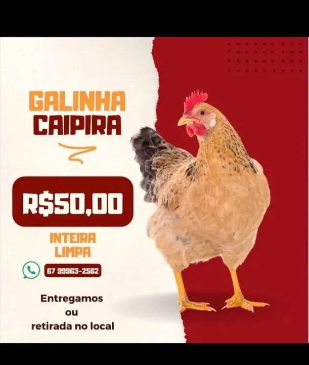 Galinha Semi Caipira Inteira Limpa & Mandioca Cascada kg