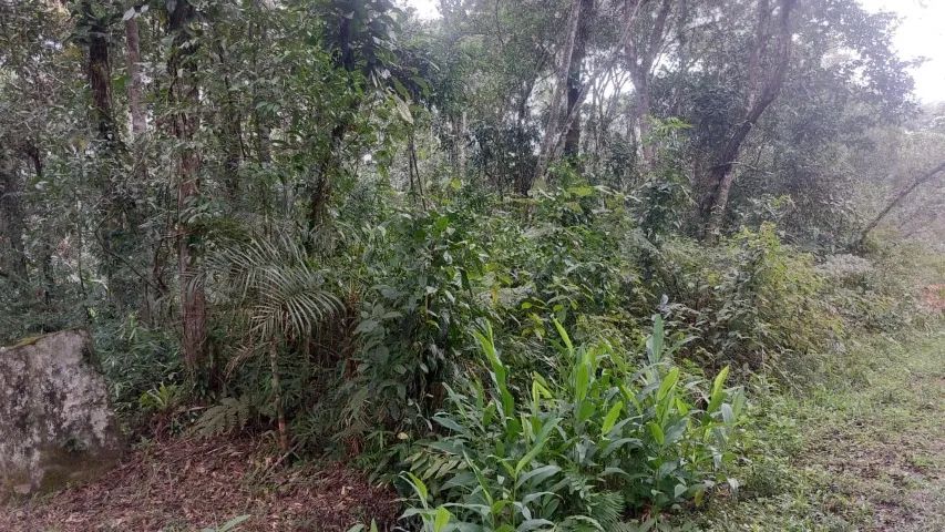 foto - Peruíbe - Balneário Garça Vermelha