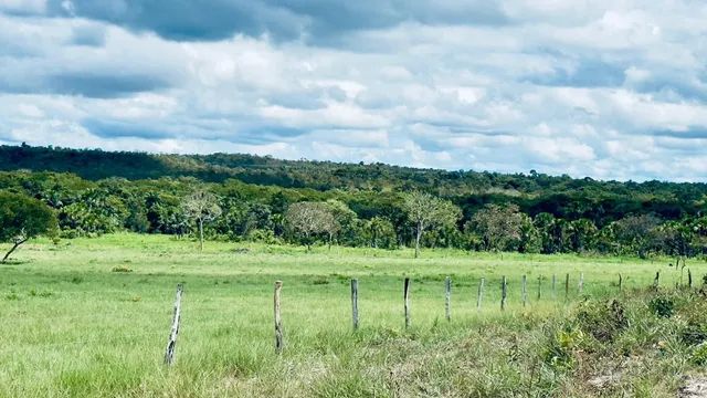 Fazenda em Rio Sono. Formada. - Foto 4