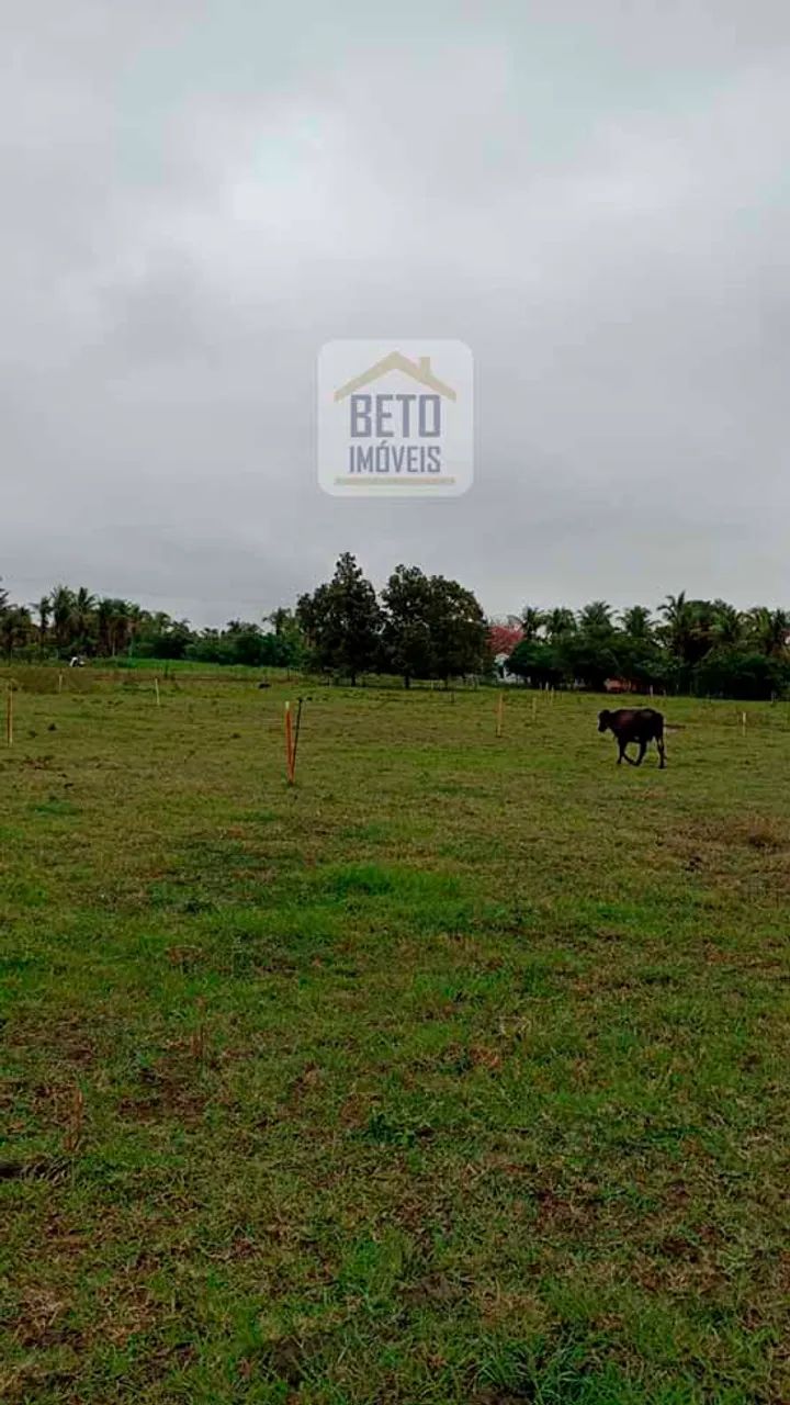 Sítio/Chácara para venda possui 7 alqueires em Centro - Quissamã - RJ - Foto 5
