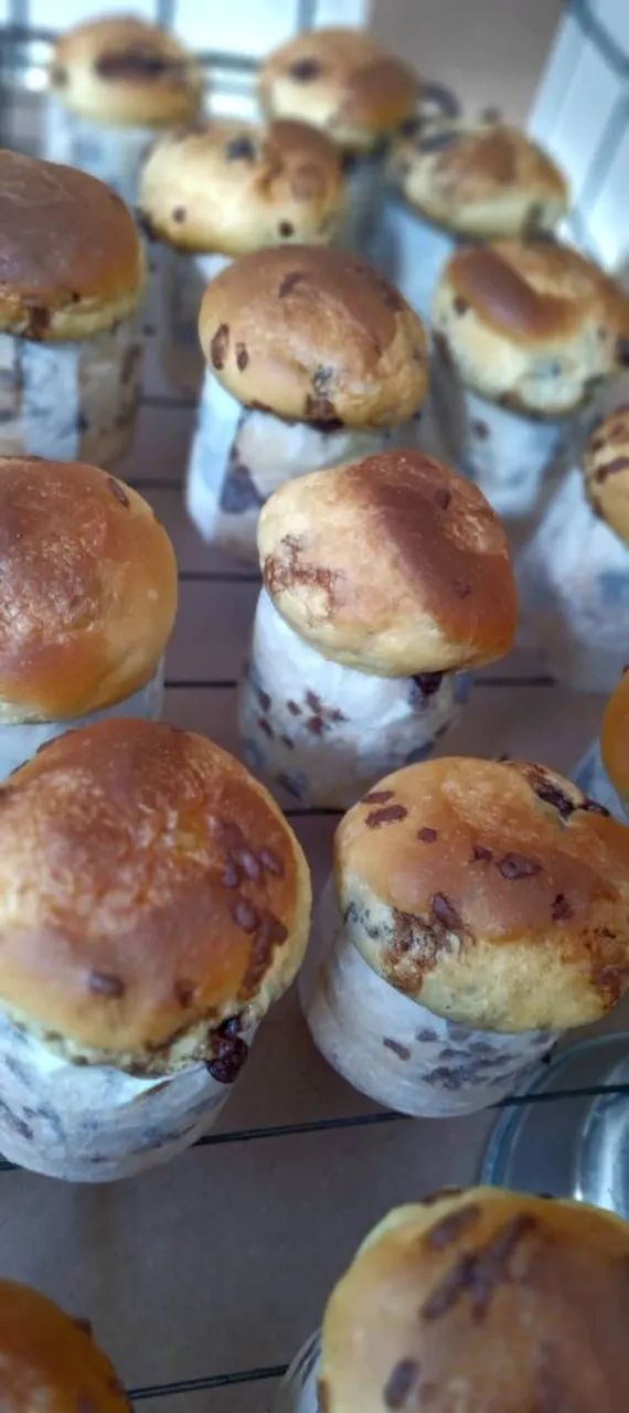 Chocotone e panetones  - Foto 3