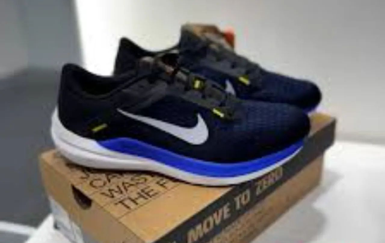 Tênis Nike winflo 10