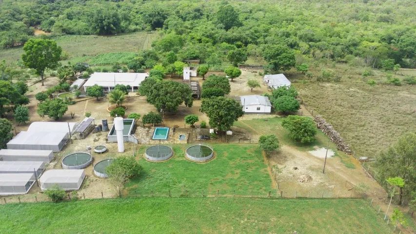 Foto - Brasília - Asa Sul