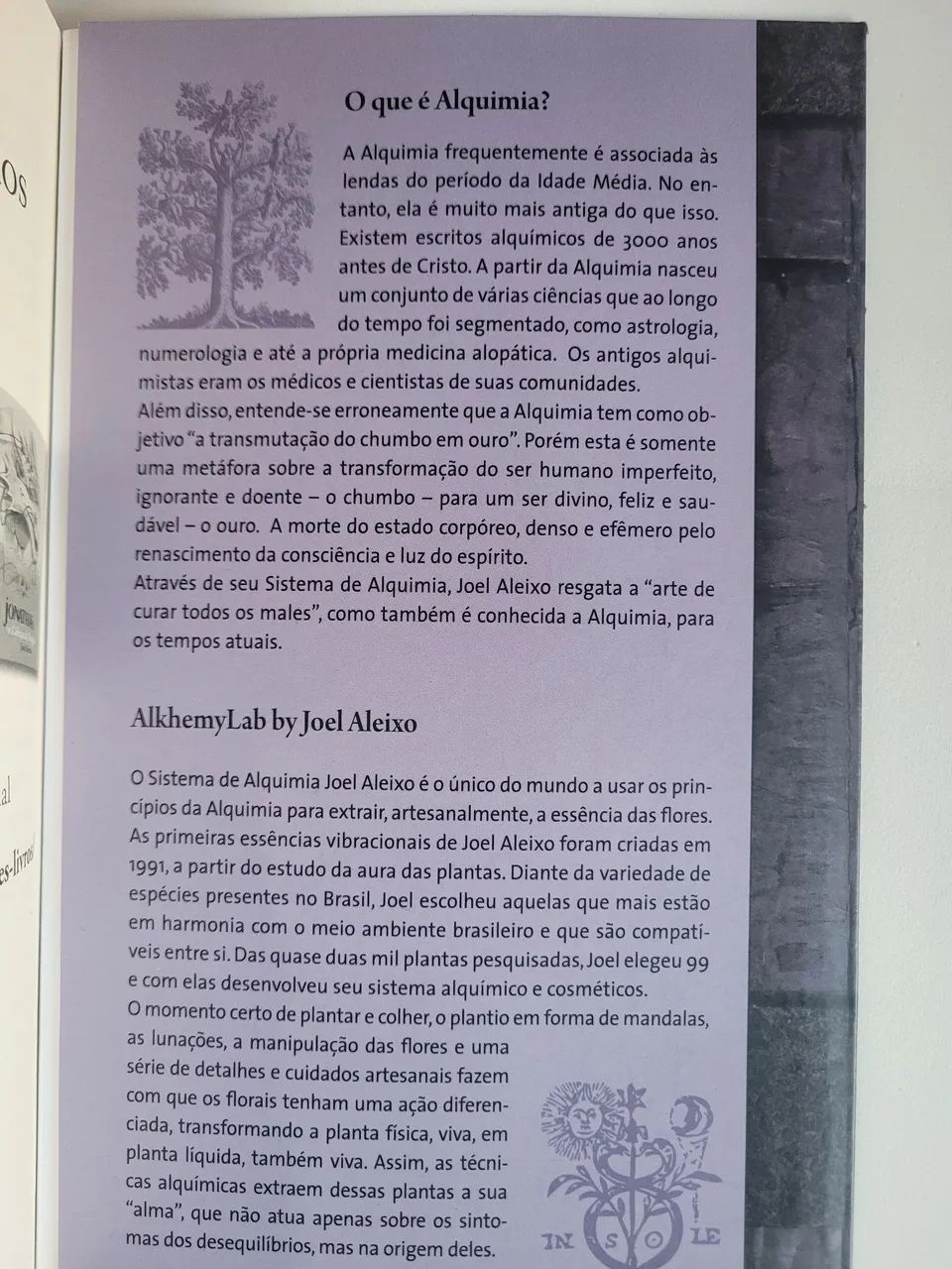 O Tarot Alquímico  - Foto 4