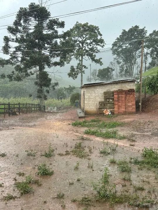 Sítio 70 hectares Juiz de Fora Mg 1,4k - Foto 11