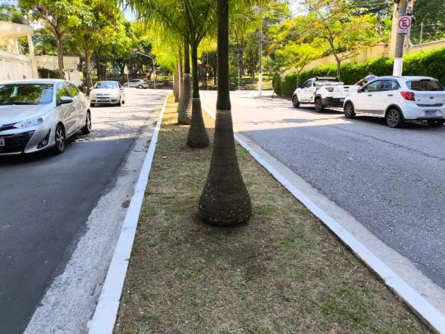 Jardinagem/jardineiro em geral - Foto 5