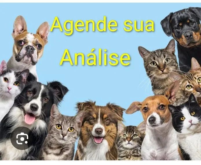 RADIESTESIA PETS - Foto 4
