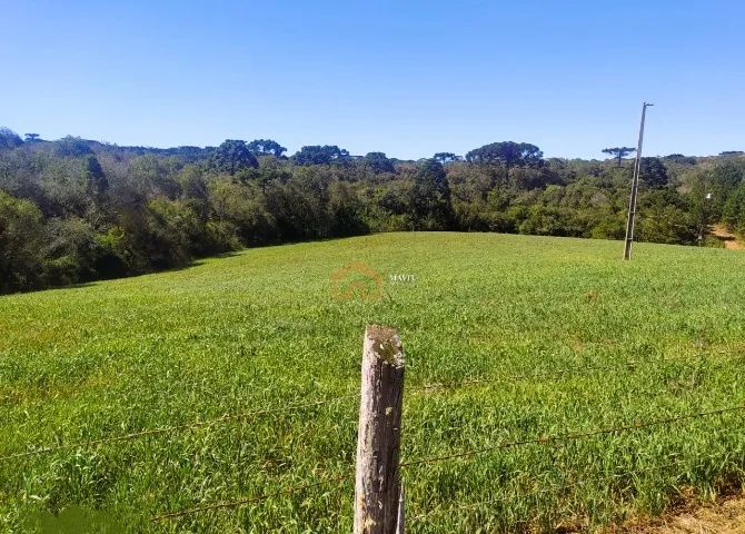 OPORTUNIDADE! Sítio com Casa Boa, Estufas, Tanques e Cachoeira - Aceita Permuta em Jlle - Foto 3