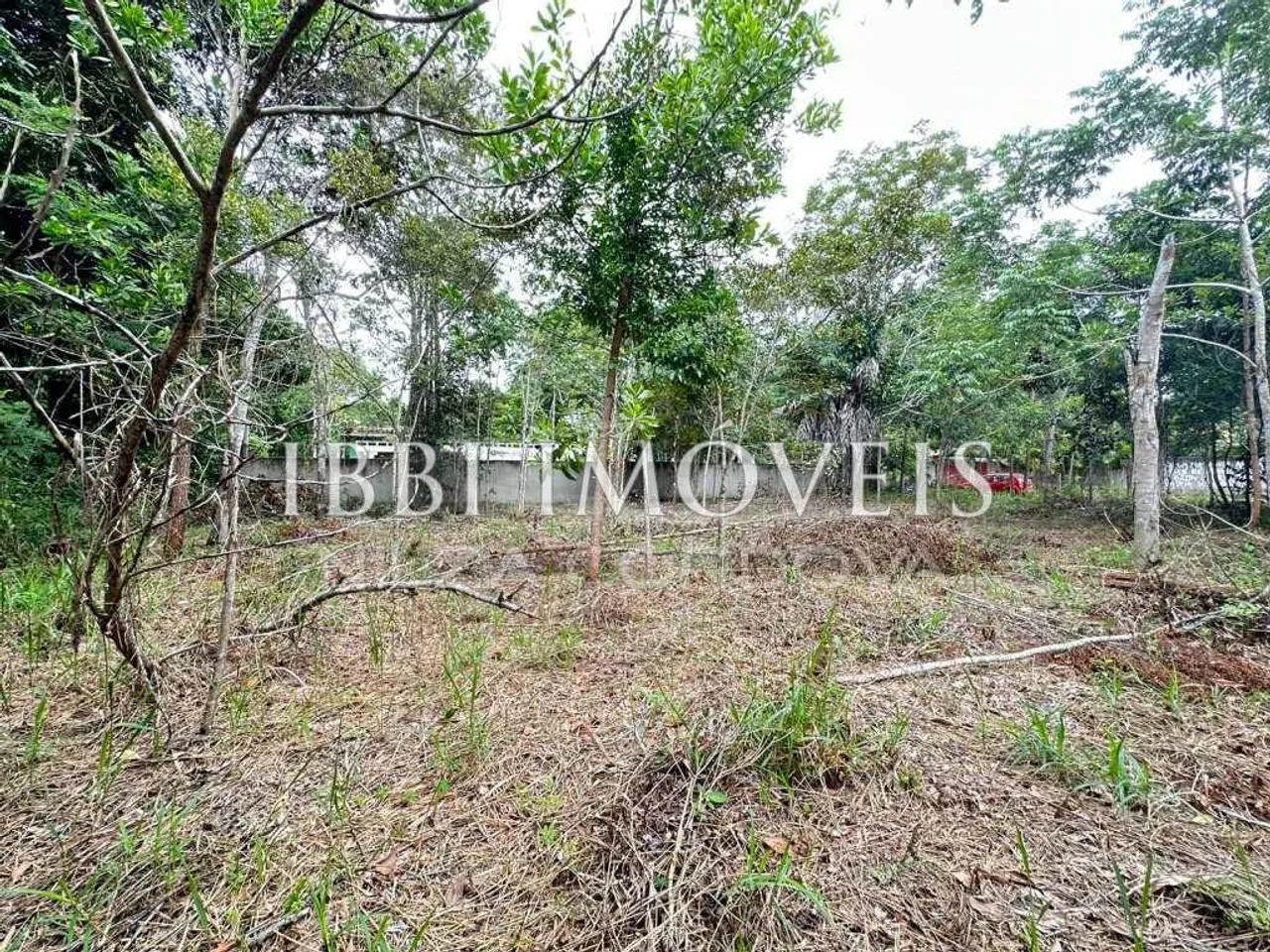 Terreno Em Á Venda - Foto 3