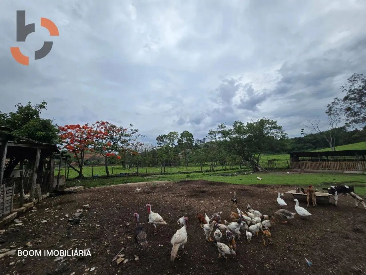 Sítio com 1 dormitório à venda, 36480 m² por R$ 3.000.000,00 - Santa Rosa - Queimados/RJ - Foto 11