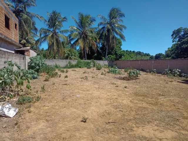 Terreno Scherrer 490 m2 - Foto 2