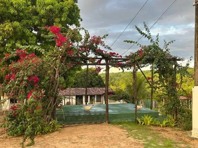 Vende uma Granja de 5 HECTARE EM JACUMA COM TODA EXTRUTURA