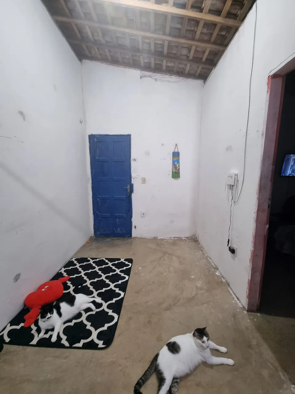 Vendo kitnet