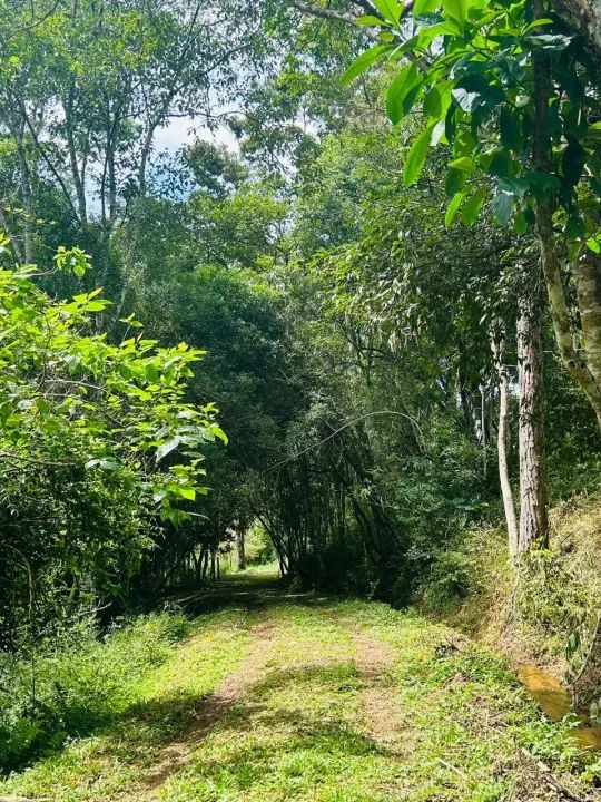 Casa de condomínio para venda possui 1000 metros quadrados em Lageadinho - Ibiúna - SP