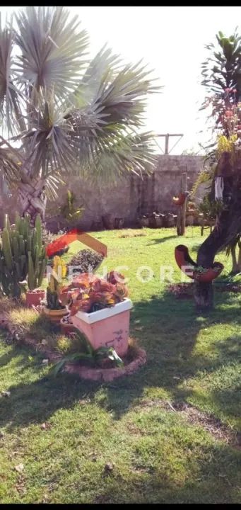 Chácara em Área Rural - Área Rural de Uberlândia - Uberlândia/MG