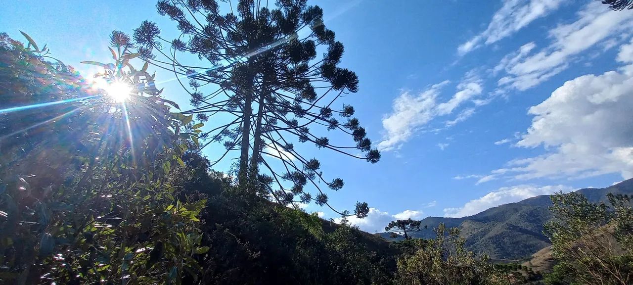 Sítio Com Rio Aiuruoca e Cachoeira !  - Foto 3
